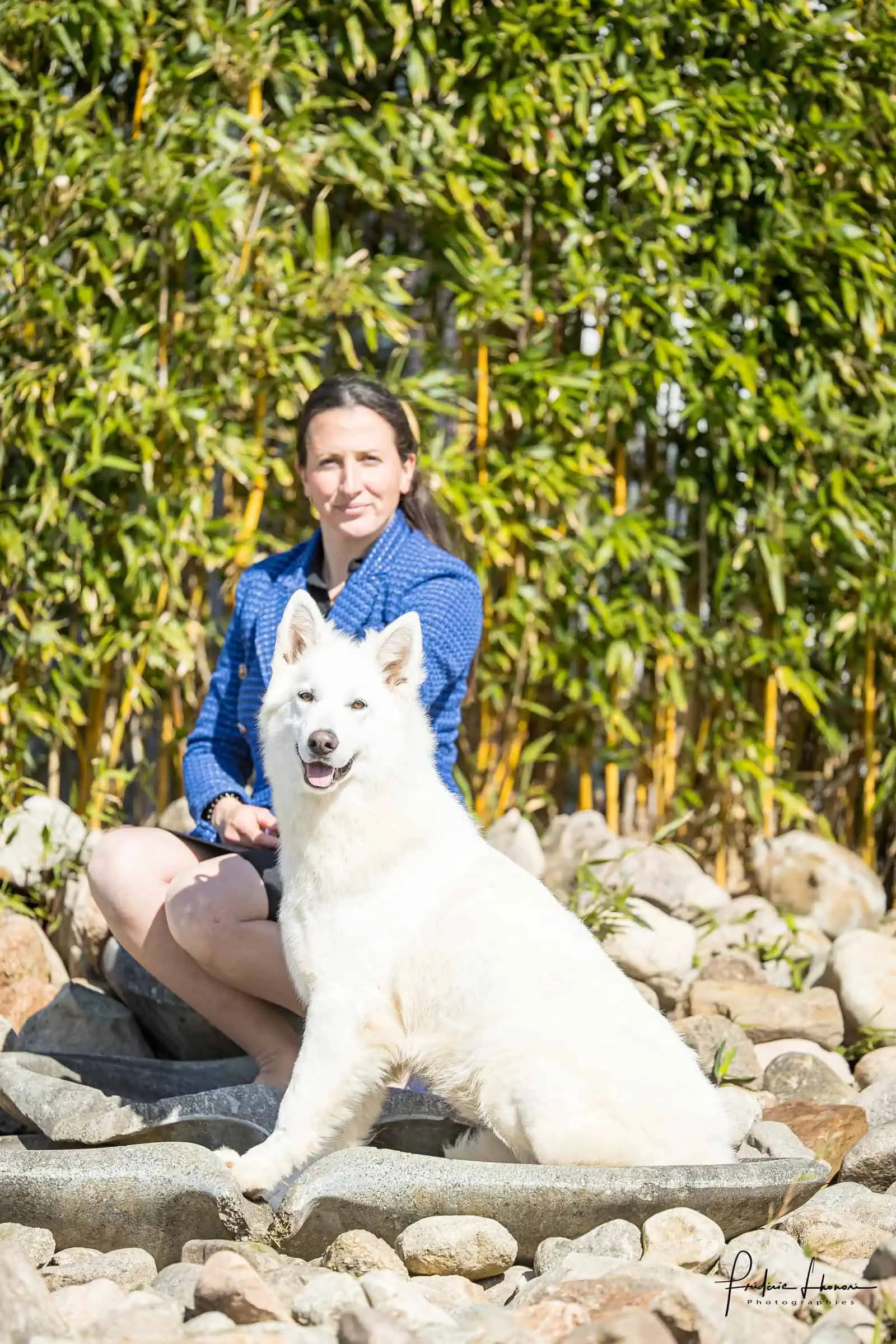 SLAVA, White Swiss Shepherd from Bloodreina kennel