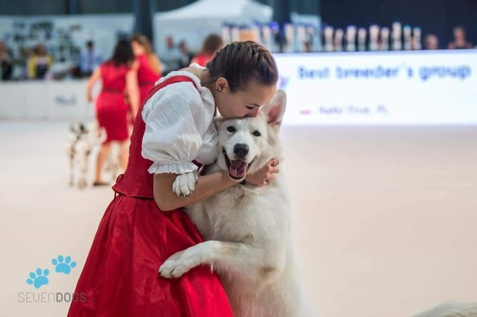 Witte Duinen Kennel